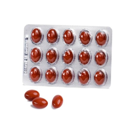 VITA DHA MATERNA 450 30 CÁPS. BLANDAS