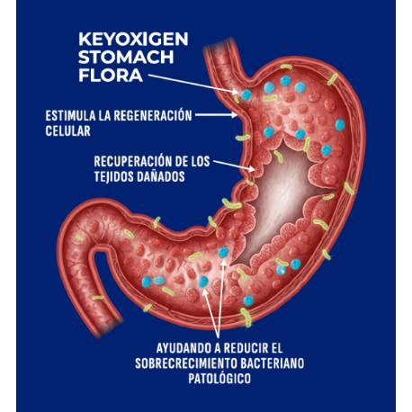 KEYOXYGEN STOMACH FLORA 250 ML