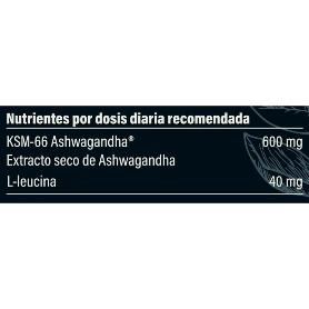 PB EXTRACTO DE ASHWAGANDHA KSM-66 60 CÁPS. 2