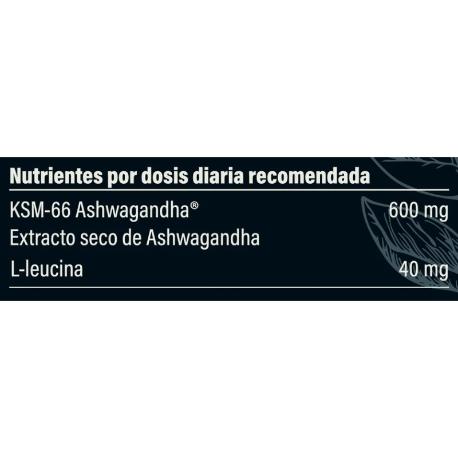 PB EXTRACTO DE ASHWAGANDHA KSM-66 60 CÁPS.