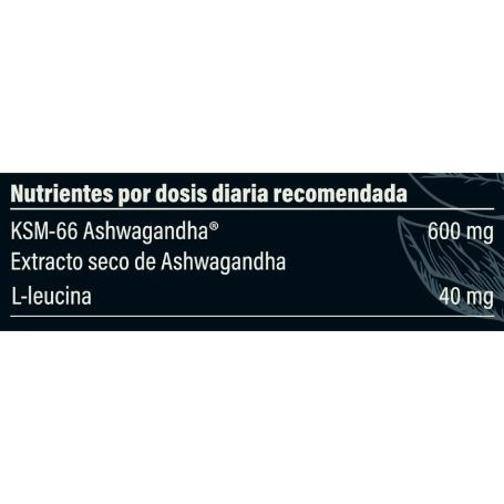 PB EXTRACTO DE ASHWAGANDHA KSM-66 60 CÁPS.