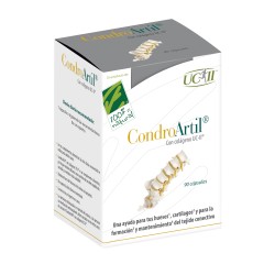 Condroartil® con colágeno UC-II 90 cáps.