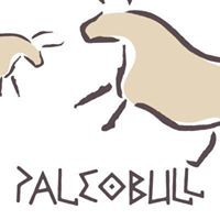 Paleo Bull